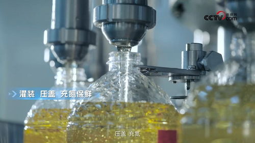 央视网探访多力安心工厂 揭秘热像仪如何破解低油烟技术的科学专利